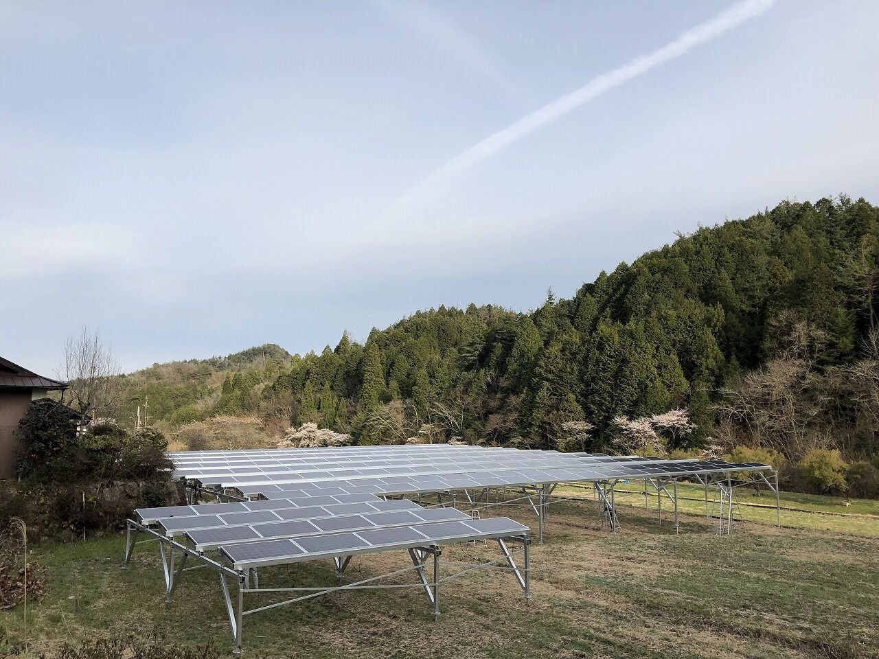 agriculture solar farm