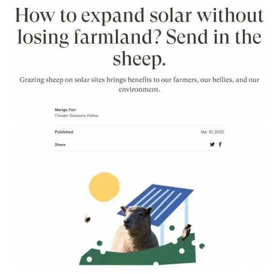 Grazing under photovoltaic panels